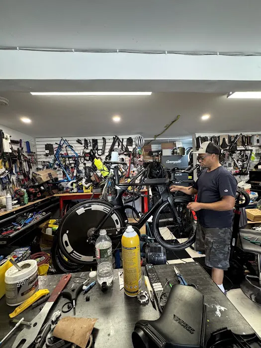 Passion Bike Shop Picture 5
