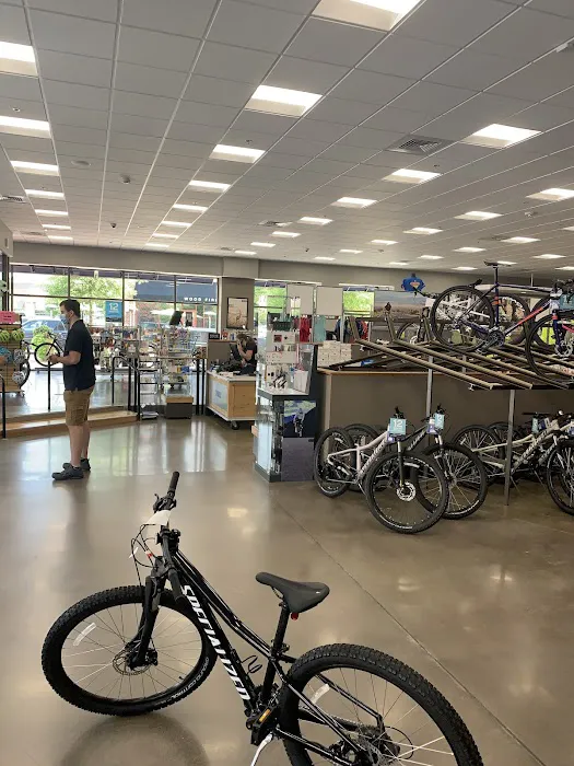 Trek Bicycle Leesburg Picture 2