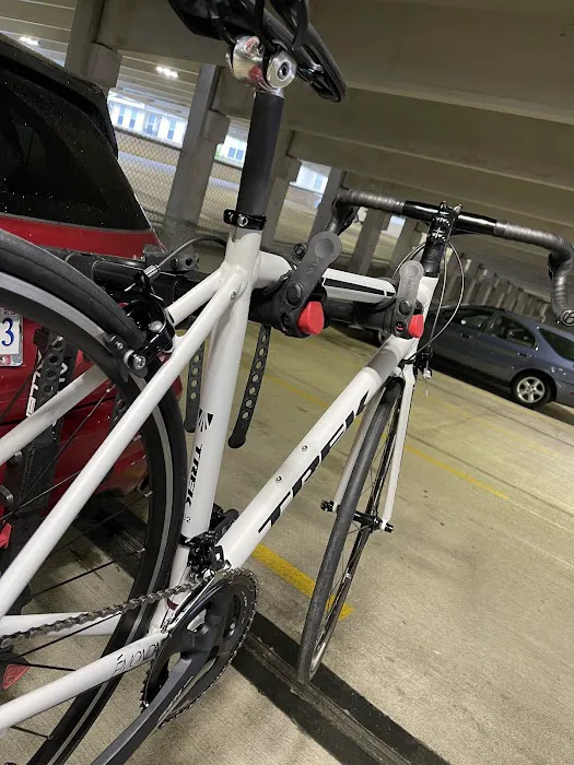 Trek Bicycle Leesburg Picture 10