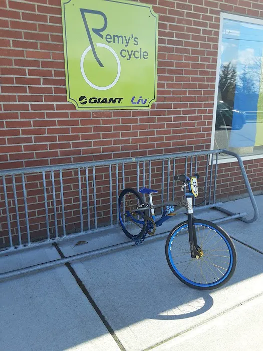 Remy's Cycle and Teddy's Toys Picture 3