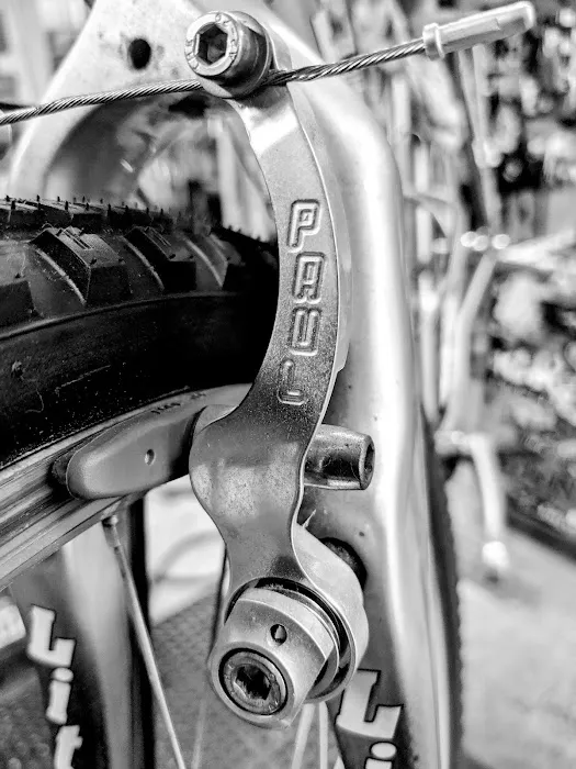 Tri-City Bicycles Picture 9