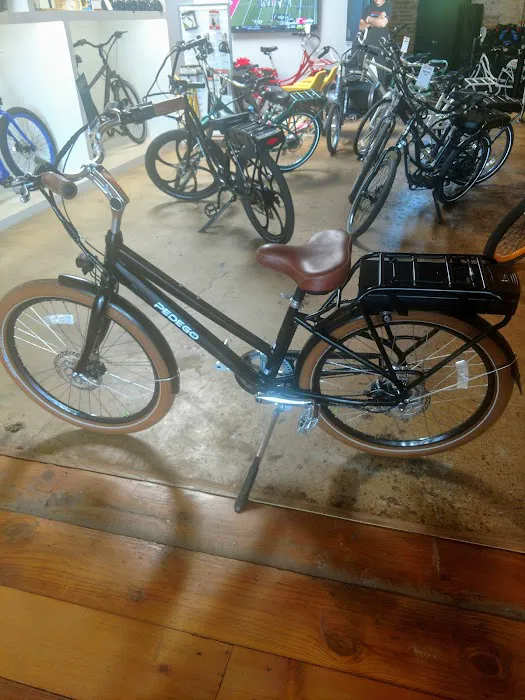 PEDEGO Dallas Electric Bikes - PEDEGO, VELOTRIC, URTOPIA & more Picture 7