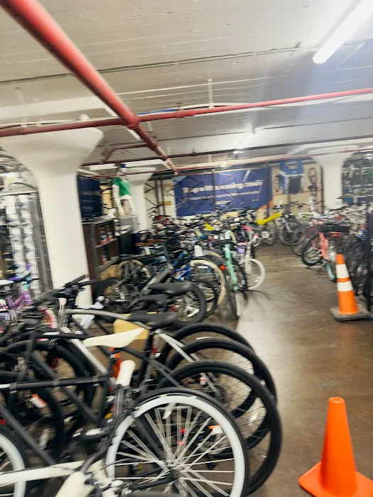 Oak Cliff Bike Synergy Picture 7