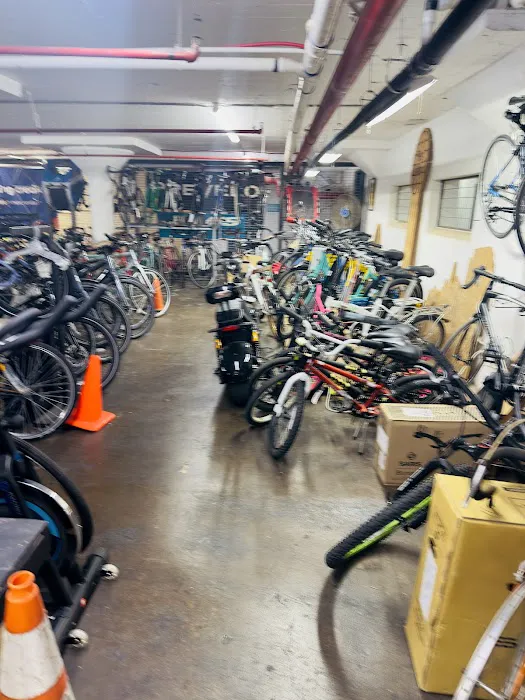 Oak Cliff Bike Synergy Picture 9
