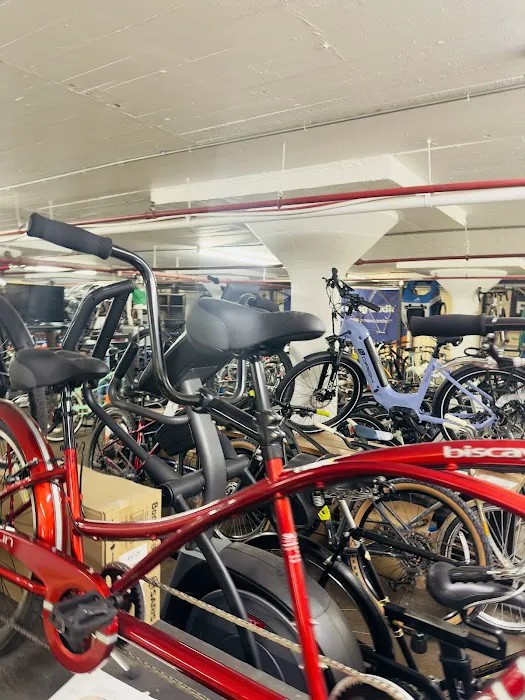 Oak Cliff Bike Synergy Picture 8