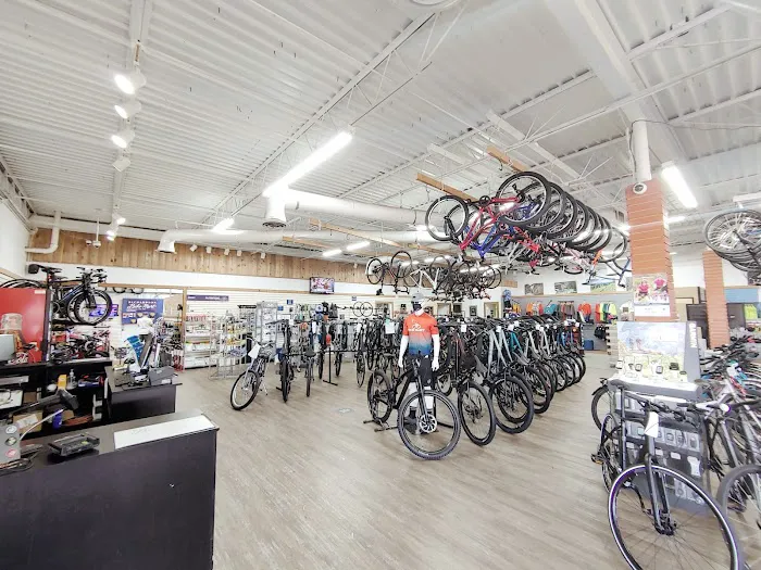 Bike Mart Picture 2