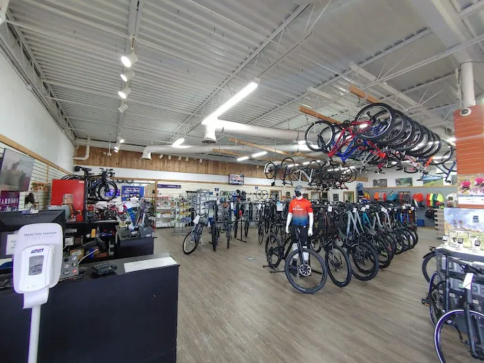 Bike Mart Picture 8