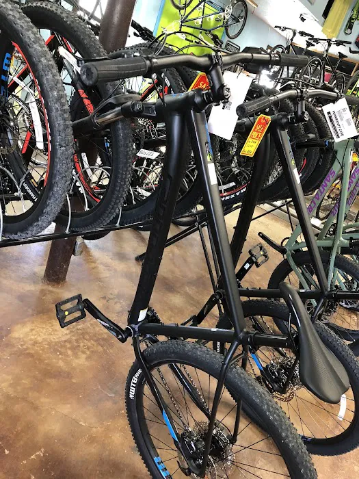 Dallas Bike Works Picture 9