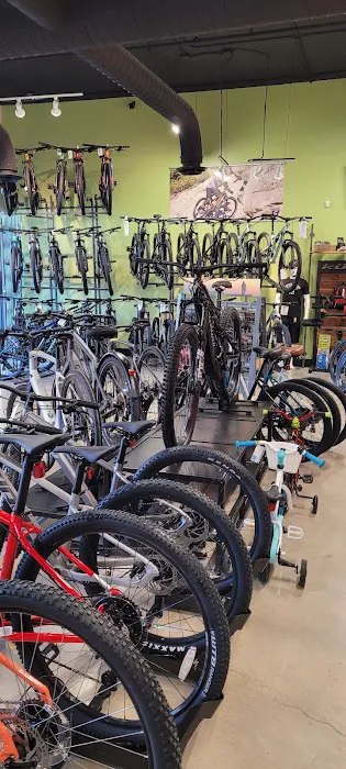 Cadence Cyclery of Preston Hollow Picture 3
