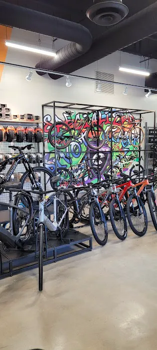 Cadence Cyclery of Preston Hollow Picture 8