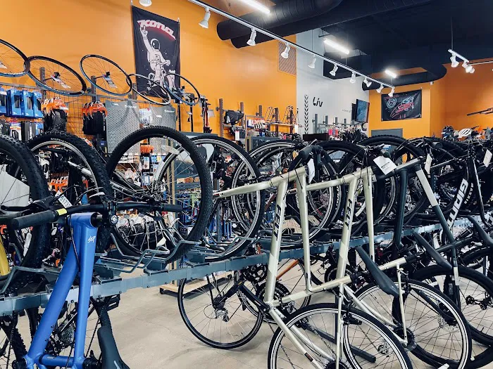 Cadence Cyclery of Preston Hollow Picture 5
