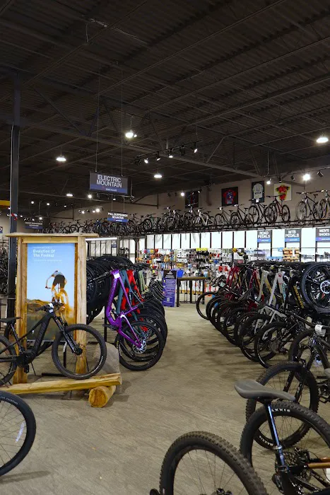 Bike Mart Picture 5