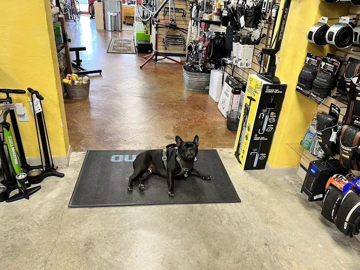 Mad Duck Cycling Shop Picture 1