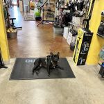 Mad Duck Cycling Shop