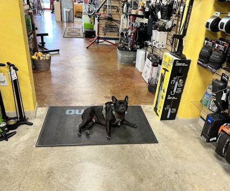 Mad Duck Cycling Shop