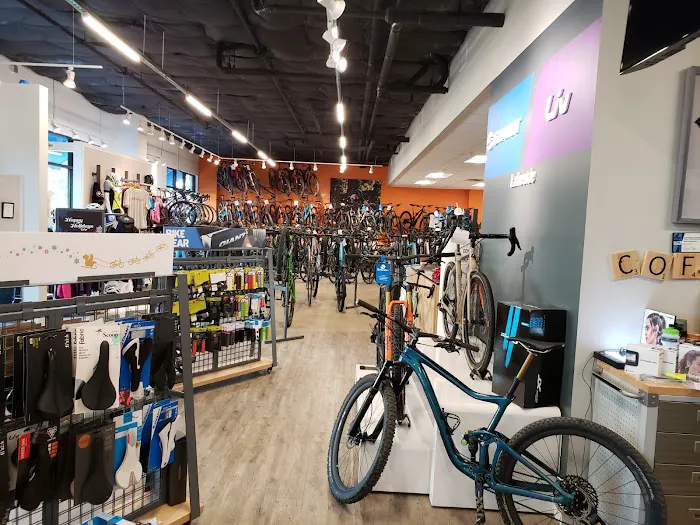 Cadence Cyclery of Lakeside Picture 2