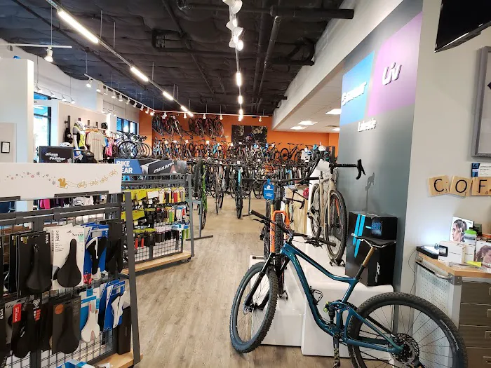 Cadence Cyclery of Lakeside Picture 3