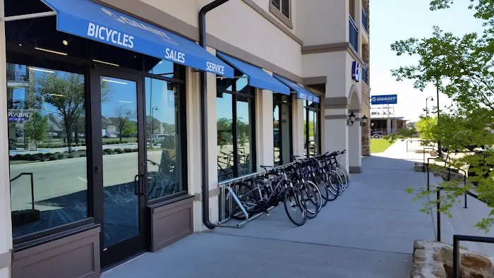 Cadence Cyclery of Lakeside Picture 1