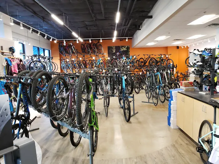 Cadence Cyclery of Lakeside Picture 4