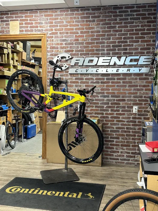 Cadence Cyclery of Lakeside Picture 10