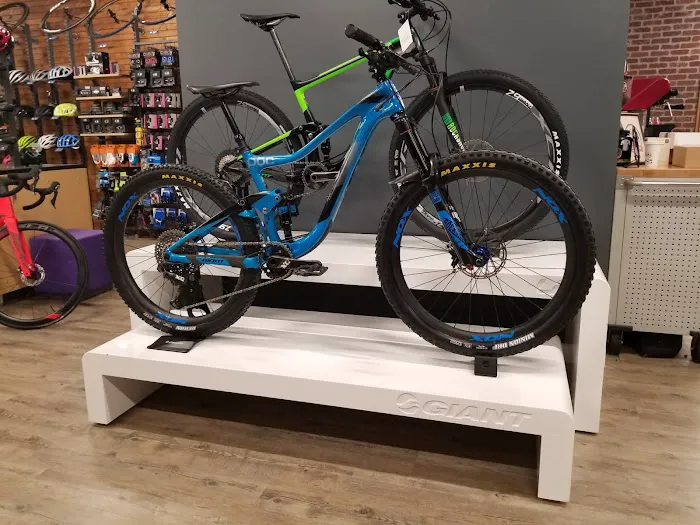 Cadence Cyclery of Lakeside Picture 7