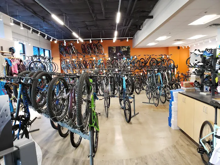 Cadence Cyclery of Lakeside Picture 9