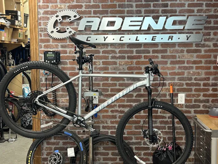 Cadence Cyclery of Lakeside Picture 8