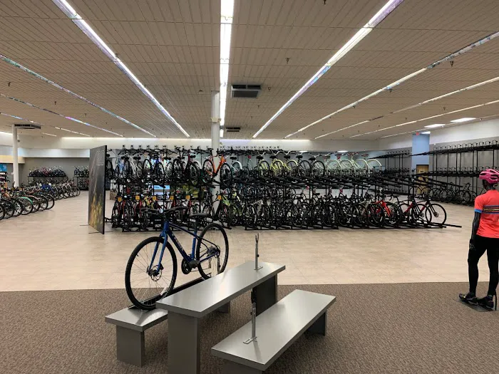 Trek Bicycle Hurst & Outlet Picture 7