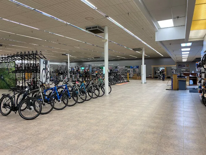 Trek Bicycle Hurst & Outlet Picture 9