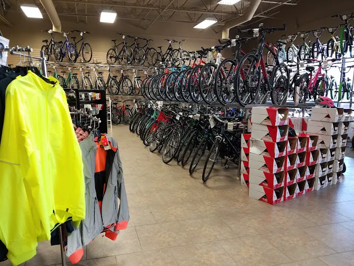 Trek Bicycle Southlake Picture 7