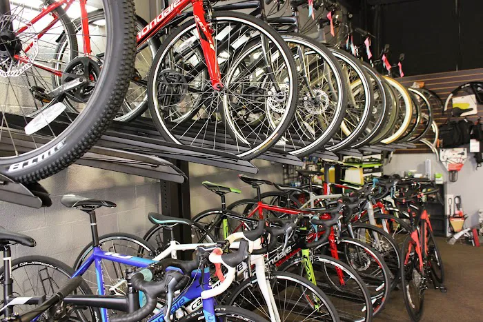 Velo Republic Picture 2