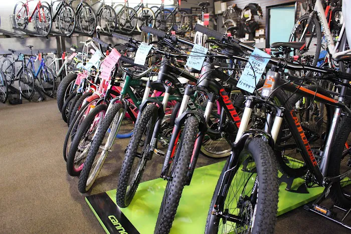 Velo Republic Picture 9