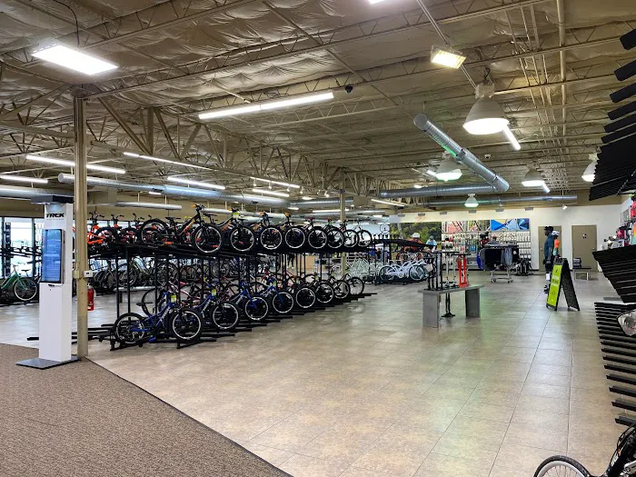 Trek Bicycle Arlington South Picture 6