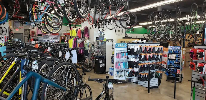B & B Bicycles Picture 2