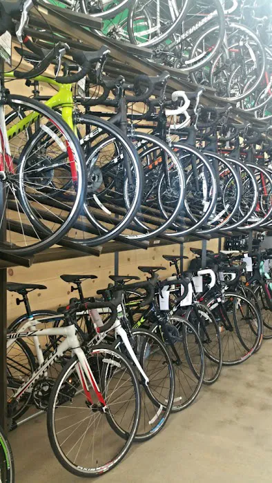 B & B Bicycles Picture 6