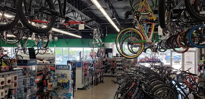 B & B Bicycles Picture 4