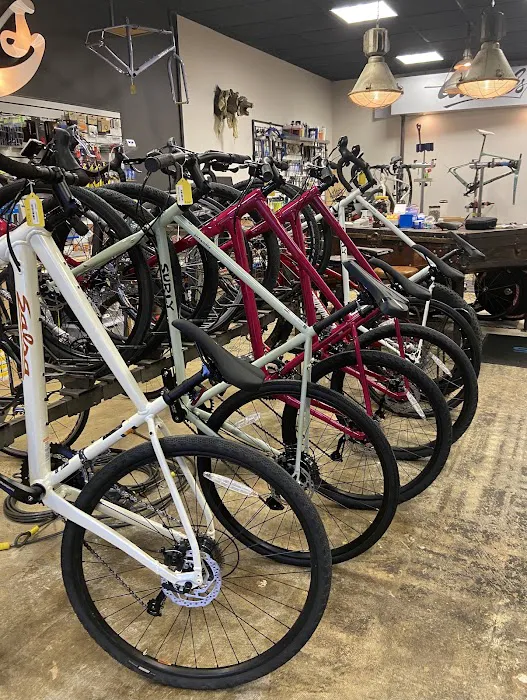 Colonel's Bicycles Picture 4