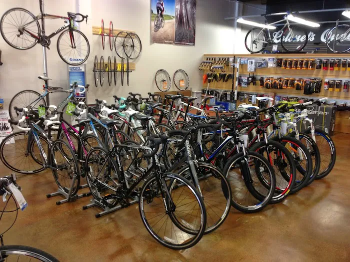 Colonel's Bicycles Picture 7