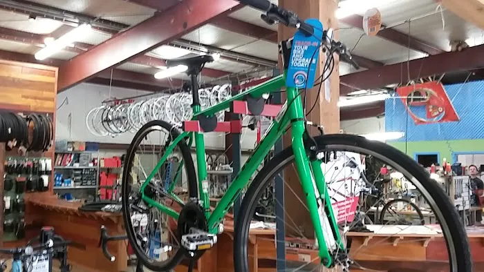 Denton Bicycle Center Picture 3