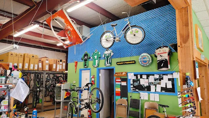 Denton Bicycle Center Picture 5