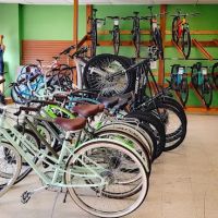 Denton Bicycle Center ico