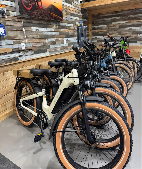 Cyclone Electric Bikes Picture 5