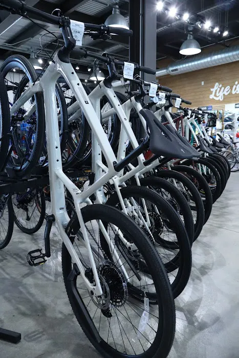 Bike Mart Picture 3