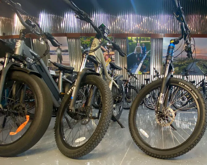 Locomotion E-Bikes Picture 4