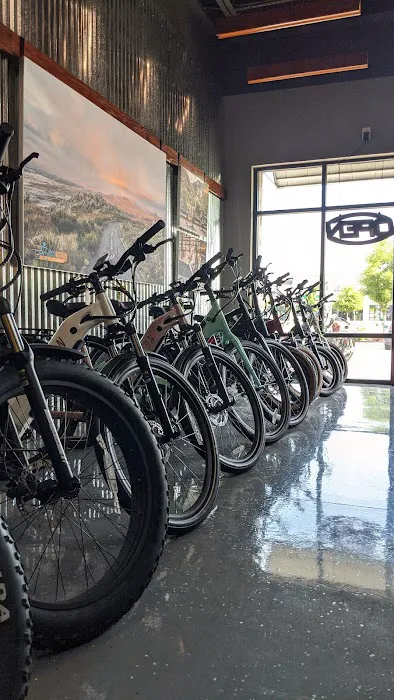 Locomotion E-Bikes Picture 6