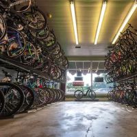 Cadence Cyclery of McKinney ico