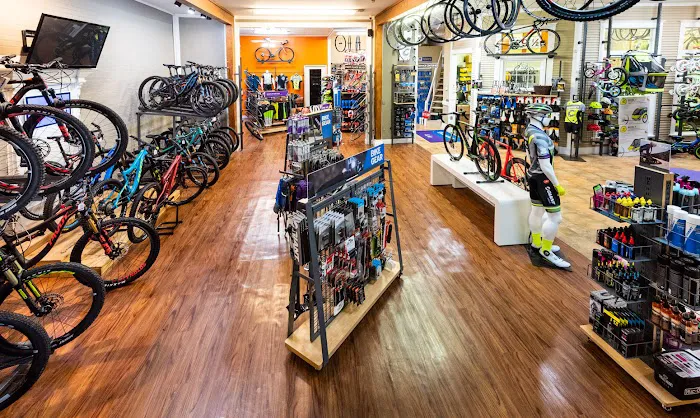 Cadence Cyclery of McKinney Picture 2