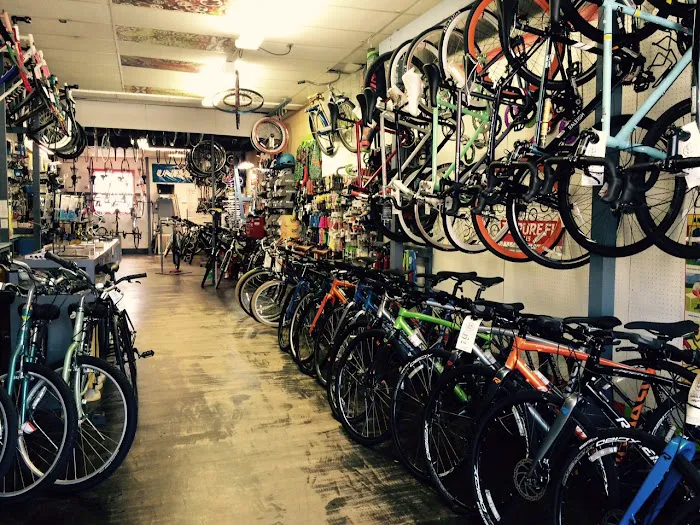 Cycle Logic Picture 4