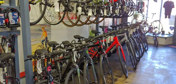 Cycle Logic Picture 7