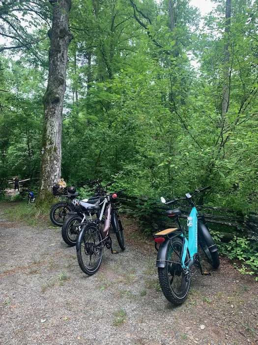 Beall's Bicycles Picture 1